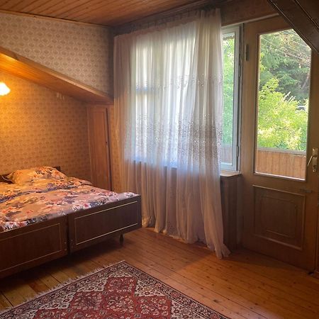 Guest House Raisa Dilidžan Exteriér fotografie
